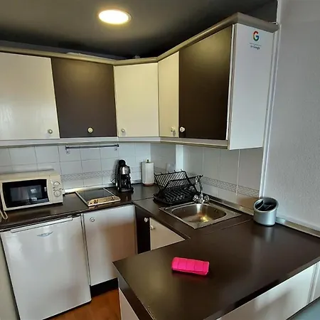 Apartamento ático Dúplex Ginebra A Pie De Pistas